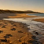 Plage de l'Ostriconi corse, sable clair et dunes, mer turquoise