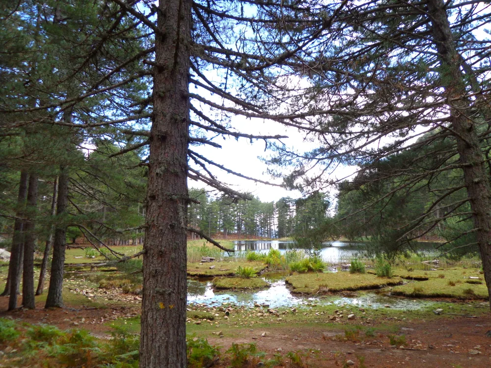 Lac de Creno et son paysage de montagne